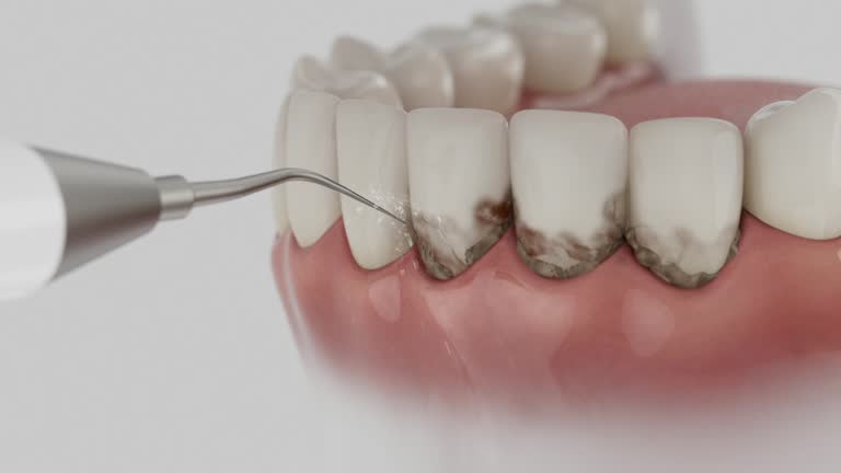 Reliable Dental contractor in Travis County County, TX by Dentist Open Now